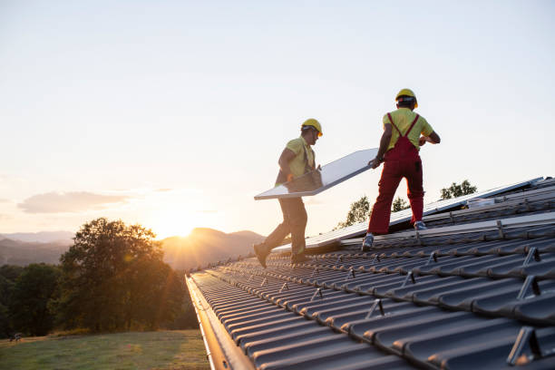 Best Roof Moss and Algae Removal  in Parksdale, CA