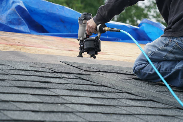 Best Solar Panel Roofing Installation  in Parksdale, CA